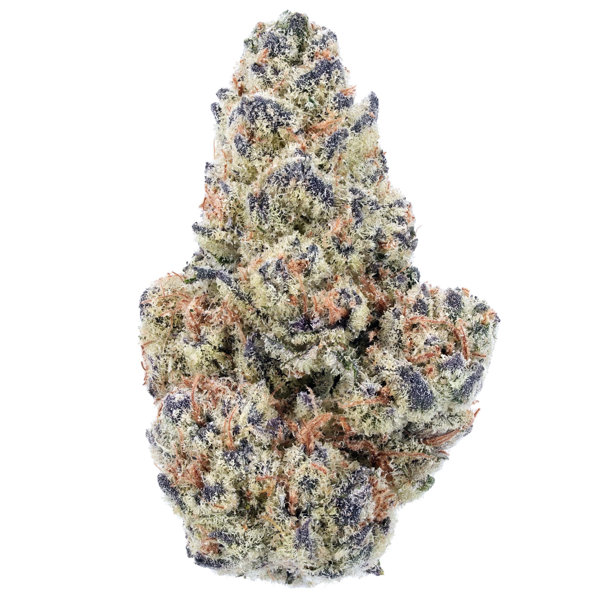 Dense, resinous cannabis buds showing results of proper growing techniques